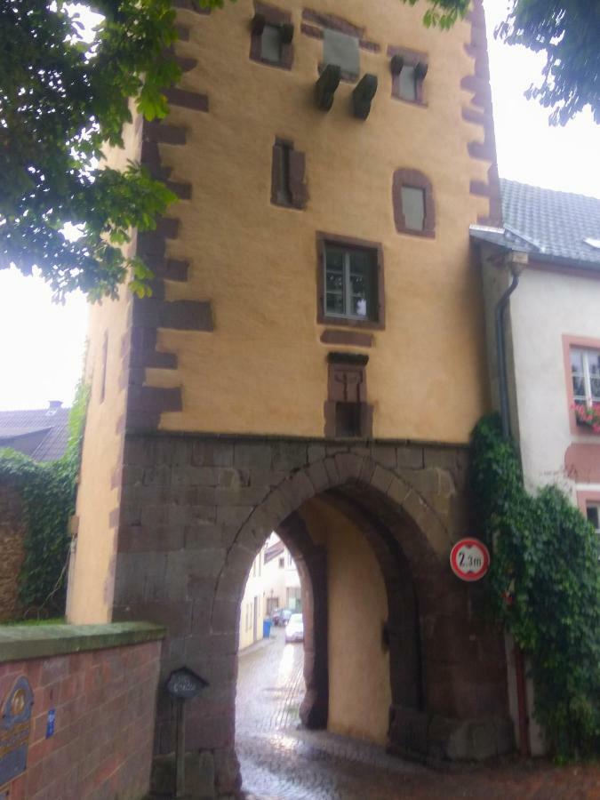 Living-In-History: Heidi Braun Cottage Dudeldorf Exterior foto